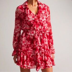 NWT Ted Baker ruffle dress with waist tie